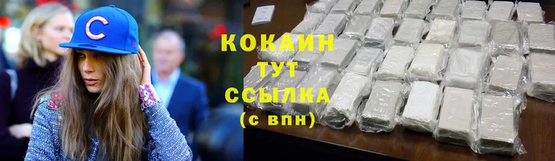 Cocaine FishScale  магазин    Елизаветинская 